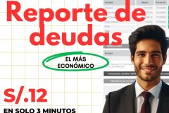 reporte de deudas