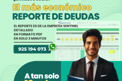 reporte de deudas