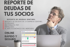 reporte de deudas