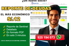 reporte de deudas