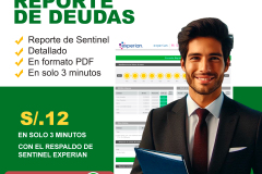 reporte de deudas