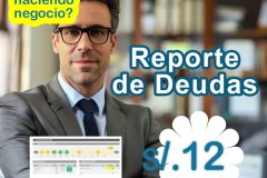 reporte de deudas